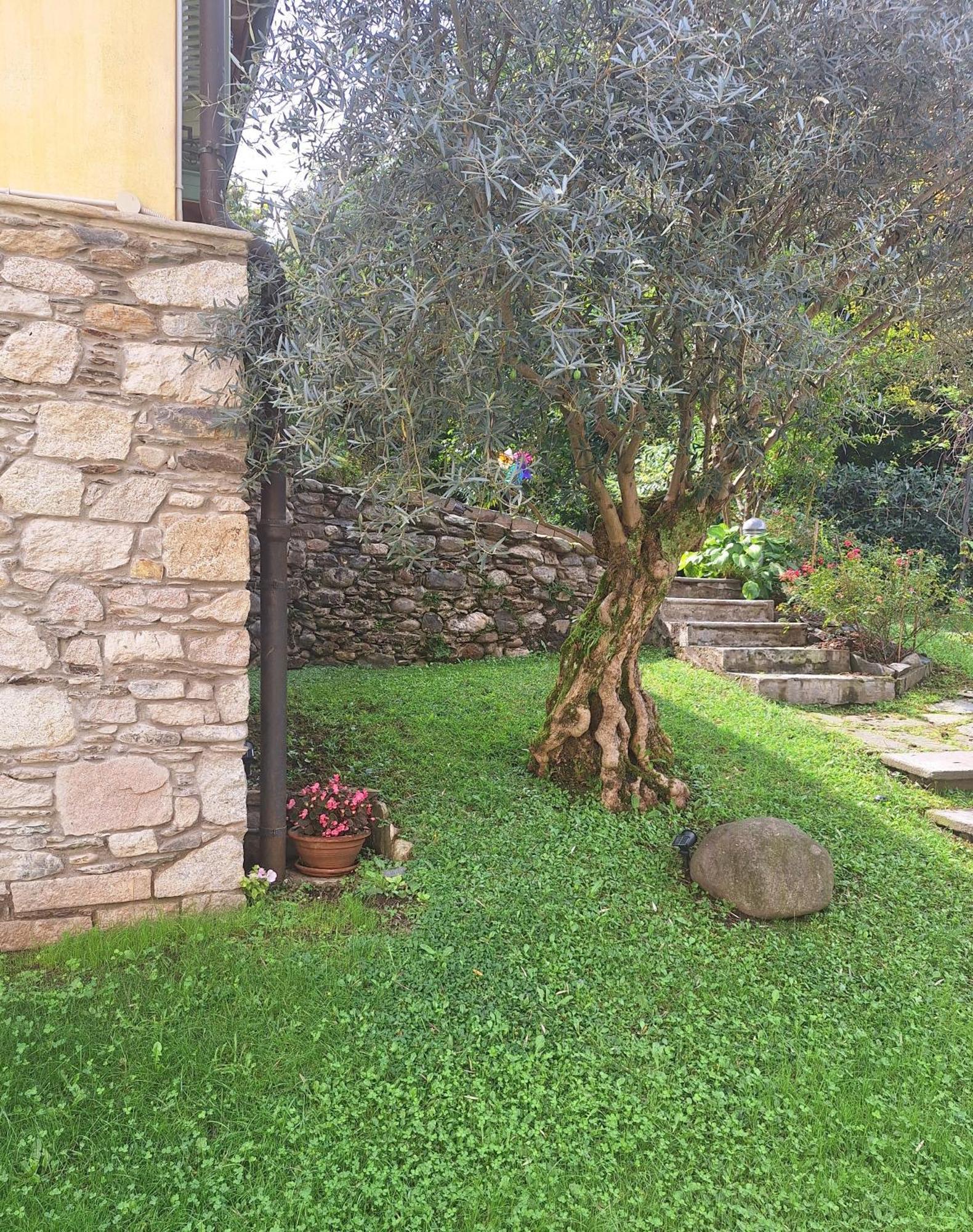 La Dependance Immersa Nel Parco Della Isabella